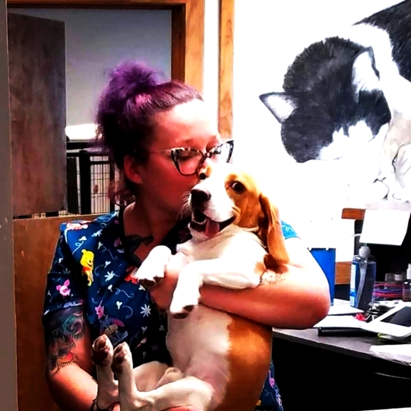 Meet your Posher, Jamie - Picture 2 of 2